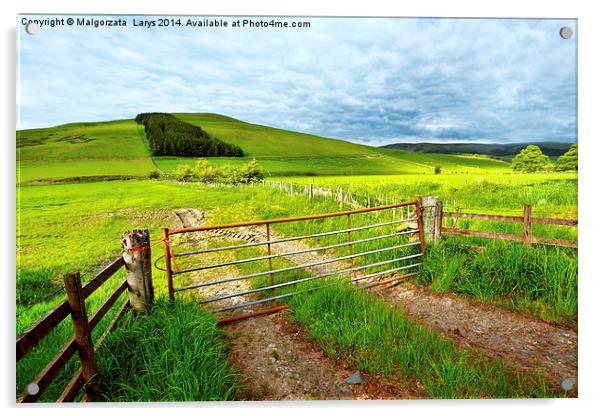 Spring rural landscape in Scotland  Acrylic by Malgorzata Larys