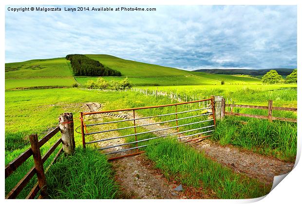 Spring rural landscape in Scotland  Print by Malgorzata Larys
