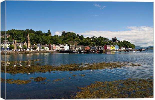 Tobermory Isle of Mull Canvas Print by Jacqi Elmslie