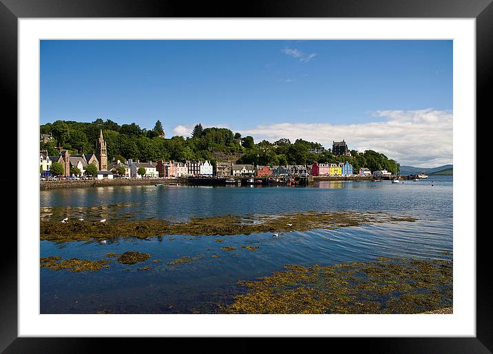 Tobermory Isle of Mull Framed Mounted Print by Jacqi Elmslie