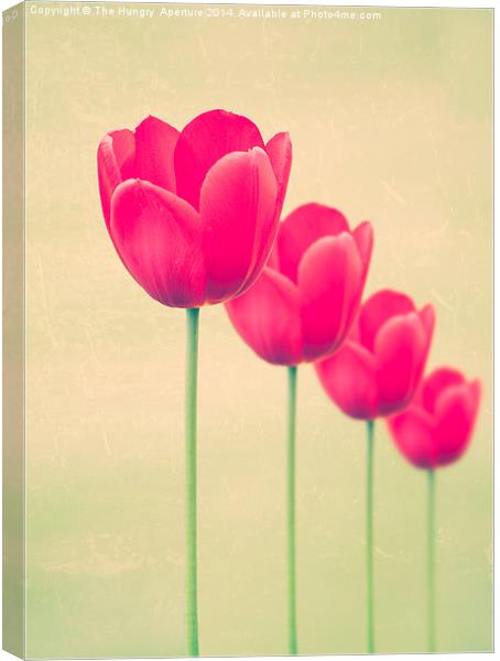 Red Tulips Canvas Print by Stef B