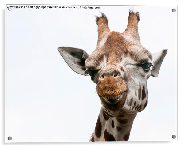 Giraffe Acrylic by Stef B