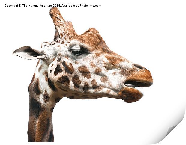 Giraffe Print by Stef B