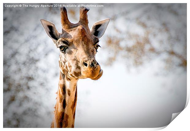 Giraffe Print by Stef B
