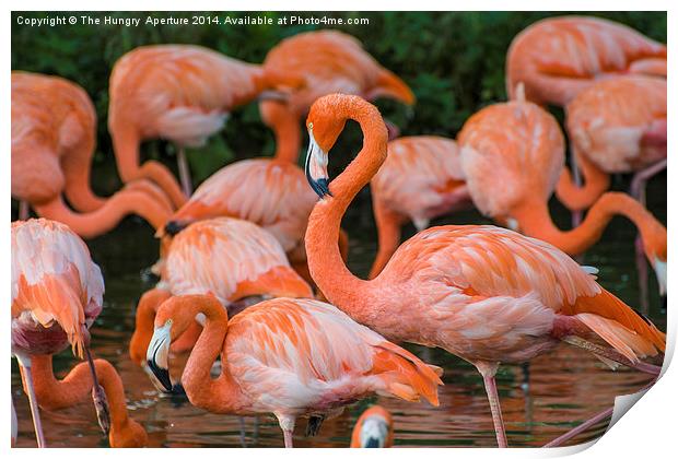 Pink Flamingos Print by Stef B