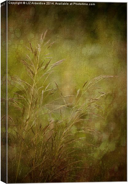 Meadow Grasses Canvas Print by LIZ Alderdice