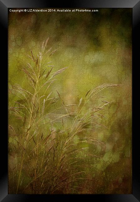Meadow Grasses Framed Print by LIZ Alderdice