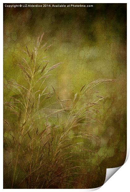 Meadow Grasses Print by LIZ Alderdice