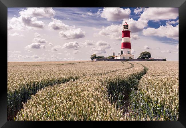 Tracks to Happisburgh Lighthouse Framed Print by Stephen Mole
