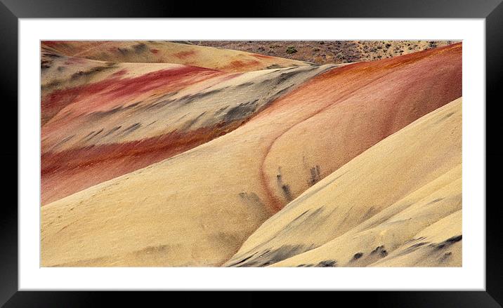 Nature's Palette Framed Mounted Print by Mike Dawson