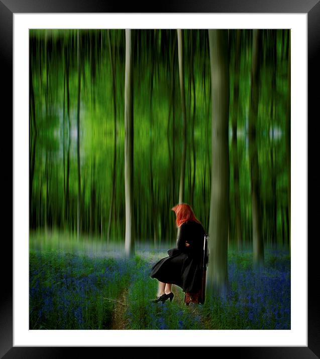 Red Head in Blue Bell wood  Art Digital art Framed Mounted Print by David French