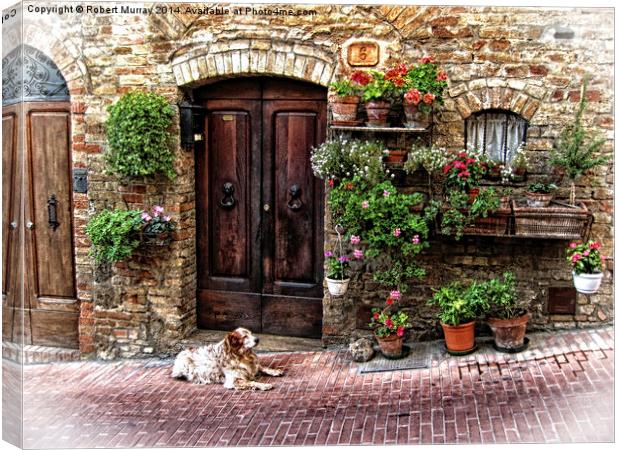 San Gimignano Dog Canvas Print by Robert Murray
