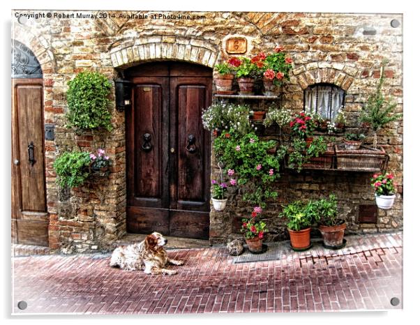 San Gimignano Dog Acrylic by Robert Murray