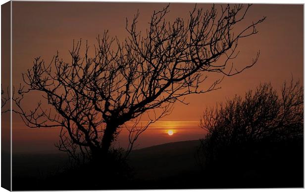 Sunset over The Ridgeway Canvas Print by Mandy Llewellyn