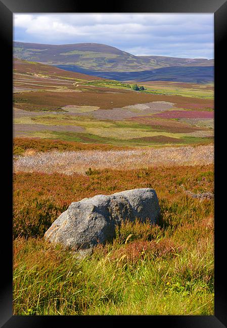 Scottish Moorland Framed Print by Chris Walker