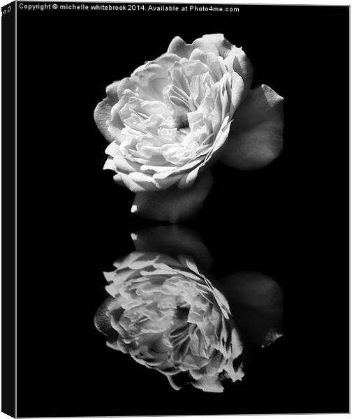 Mono Reflections Canvas Print by michelle whitebrook