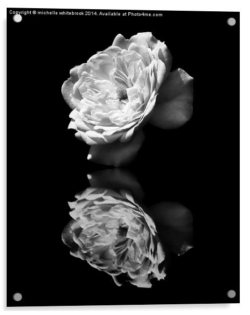 Mono Reflections Acrylic by michelle whitebrook