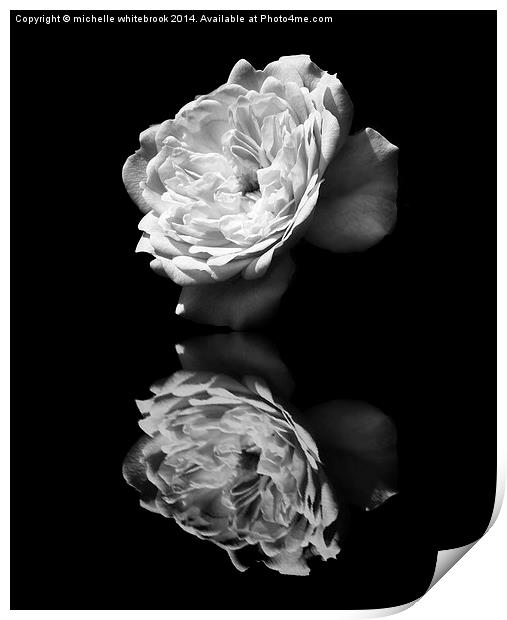 Mono Reflections Print by michelle whitebrook