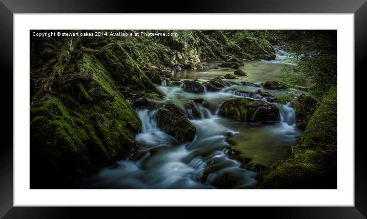 Natures Hidden Treasures 1 Framed Mounted Print by stewart oakes