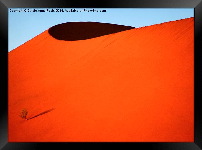 Sculptured dune, Namib Desert soon after sunrise Framed Print by Carole-Anne Fooks