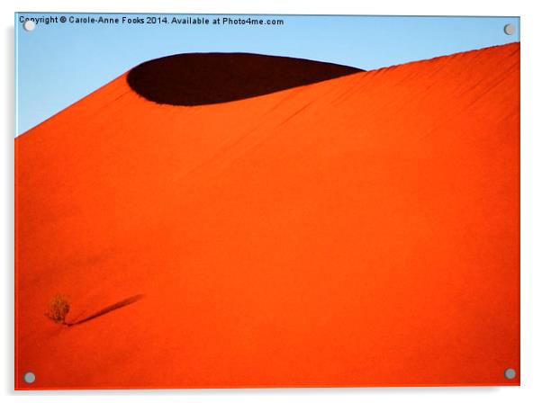 Sculptured dune, Namib Desert soon after sunrise Acrylic by Carole-Anne Fooks