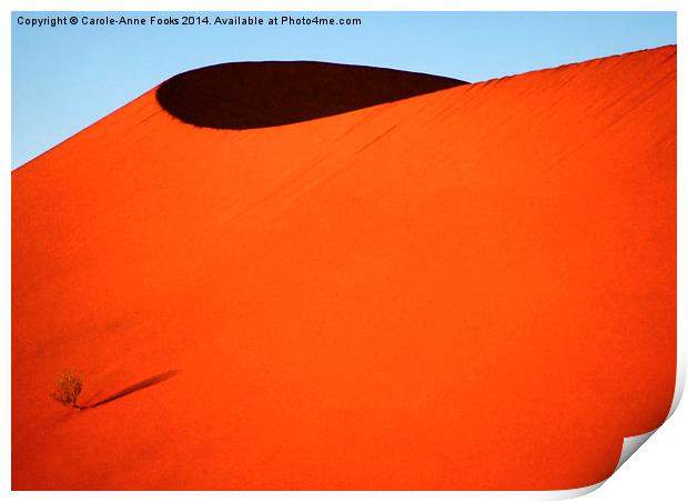 Sculptured dune, Namib Desert soon after sunrise Print by Carole-Anne Fooks