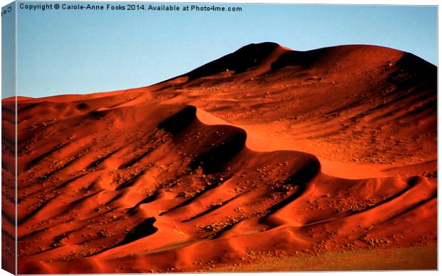 Detailed Dunes, Namibia Canvas Print by Carole-Anne Fooks