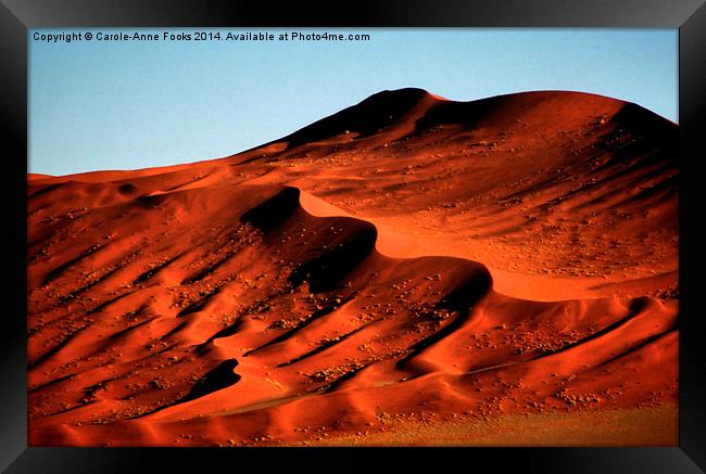 Detailed Dunes, Namibia Framed Print by Carole-Anne Fooks