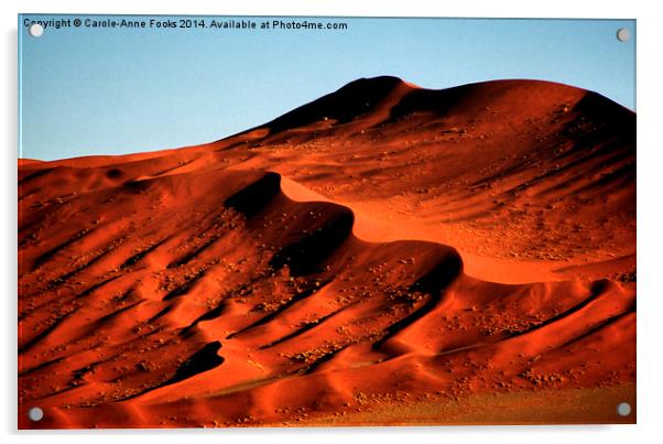 Detailed Dunes, Namibia Acrylic by Carole-Anne Fooks
