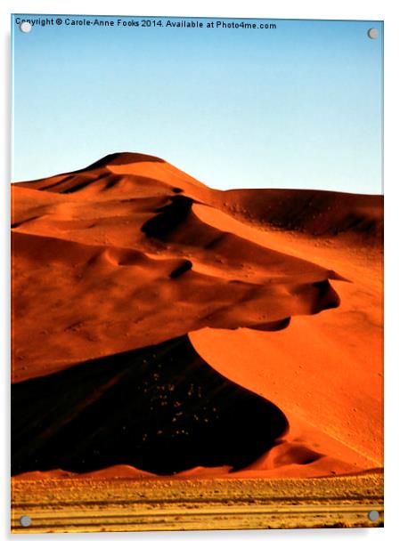 Dramatic Dunes, Namibia Acrylic by Carole-Anne Fooks