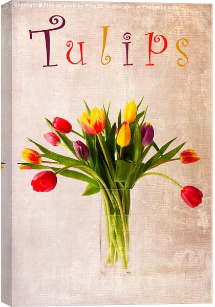 Tulips Canvas Print by Fine art by Rina