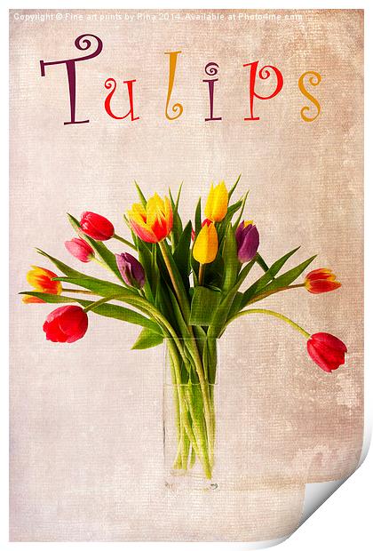 Tulips Print by Fine art by Rina