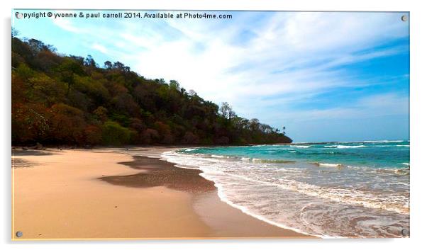 Serene Santa Teresa Beach Acrylic by yvonne & paul carroll