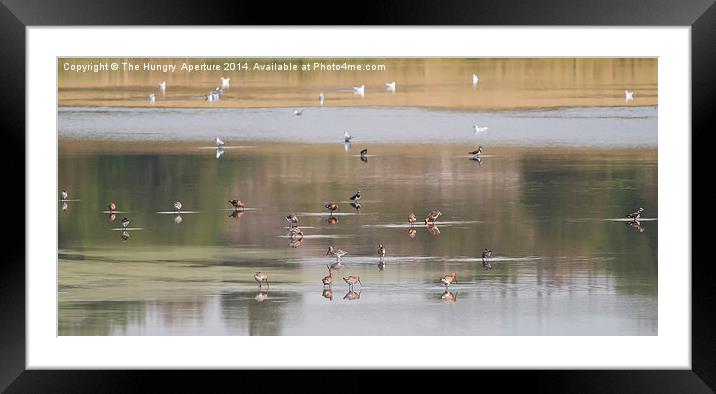 Godwit & Lapwing Framed Mounted Print by Stef B