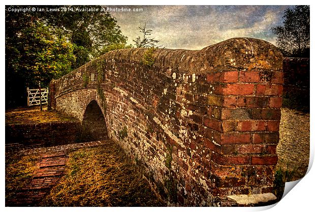 Enborne Canal Bridge Near Newbury Print by Ian Lewis