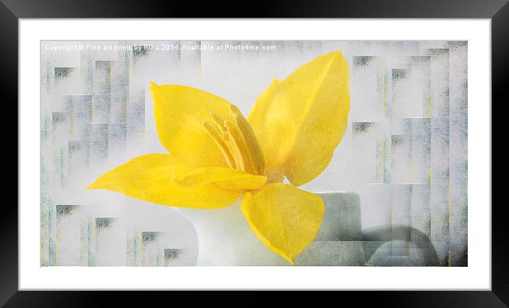 Lemon Tulip Framed Mounted Print by Fine art by Rina