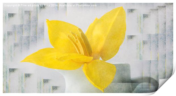 Lemon Tulip Print by Fine art by Rina