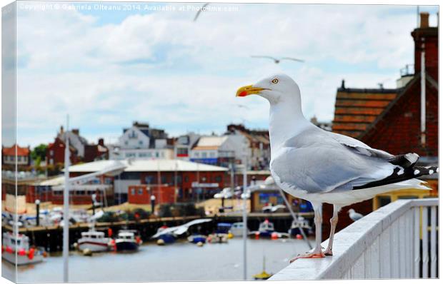 Postcard from Bridlington Canvas Print by Gabriela Olteanu