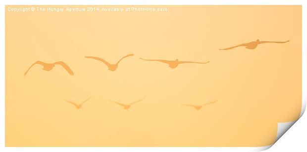 Canada Geese Print by Stef B