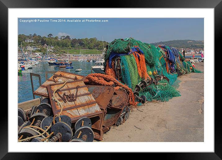 Ropes and Nets Lyme Regis UK Framed Mounted Print by Pauline Tims