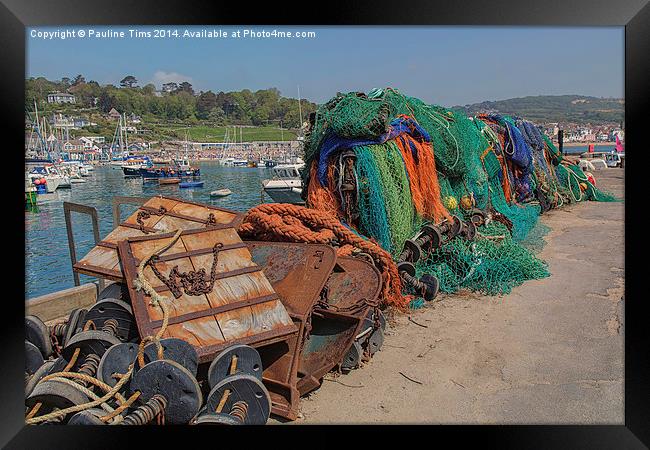 Ropes and Nets Lyme Regis UK Framed Print by Pauline Tims