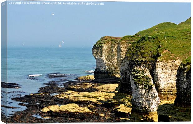 Flamborough Head Canvas Print by Gabriela Olteanu