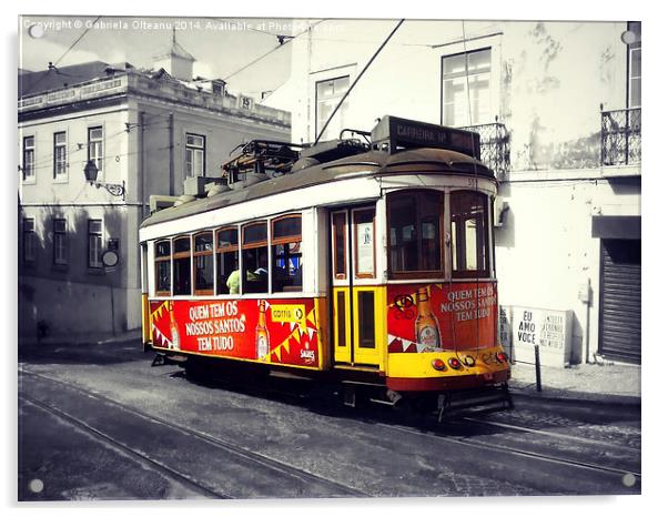 Tram no. 28 Acrylic by Gabriela Olteanu
