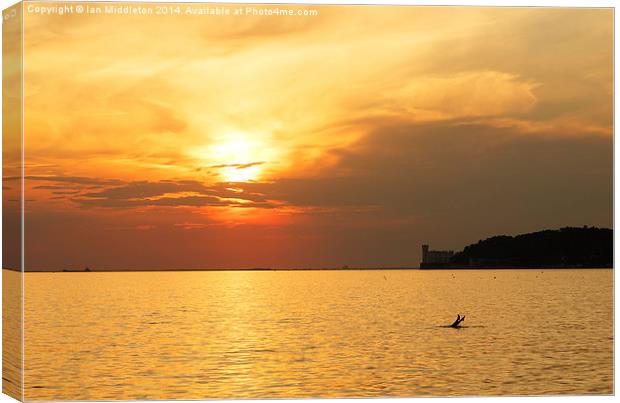 Sunset over Trieste Bay Canvas Print by Ian Middleton