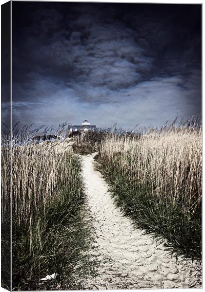 The Pathway Home Canvas Print by Tom and Dawn Gari