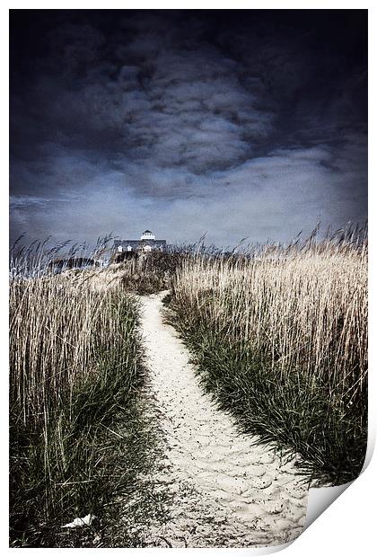 The Pathway Home Print by Tom and Dawn Gari
