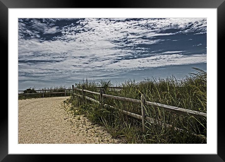 Pathway To The Sea Framed Mounted Print by Tom and Dawn Gari