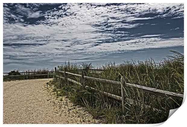 Pathway To The Sea Print by Tom and Dawn Gari