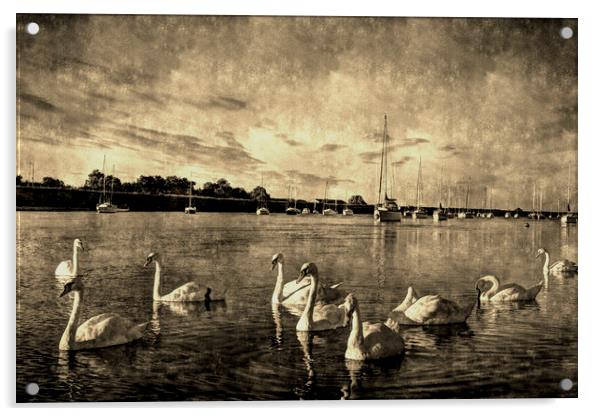 Vintage Swans Acrylic by David Pyatt