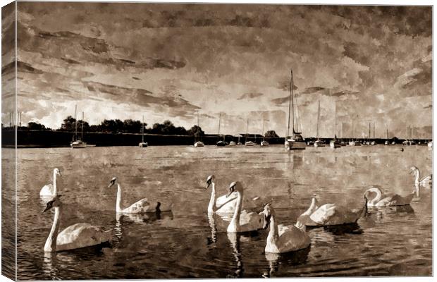 Vintage Swan Painting Canvas Print by David Pyatt